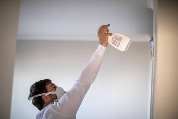 Best Localized Mold Remediation (e.g., coastal areas, humid climates) in Lemon Hill, CA