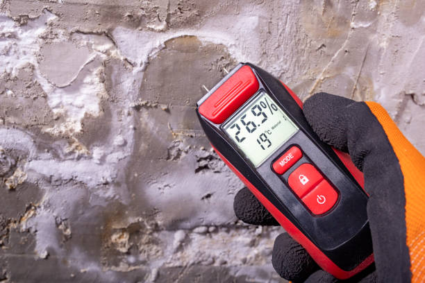 Best Attic Mold Remediation in Lemon Hill, CA
