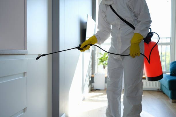 Best Bathroom Mold Remediation in Lemon Hill, CA