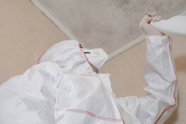 Best Mold Testing and Inspection Services in Lemon Hill, CA