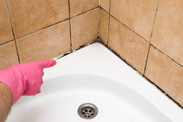 Best Mold Remediation for Specific Building Types in Lemon Hill, CA